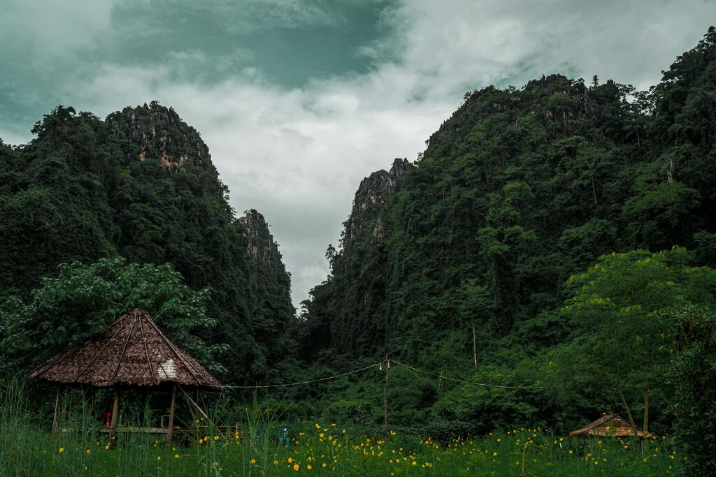 image-25